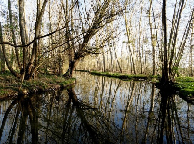 La Boutonne